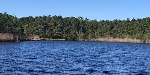 123 E Dowry Creek E