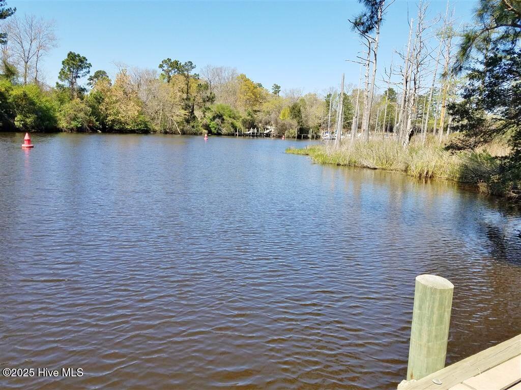 Image 1: Alligator Creek