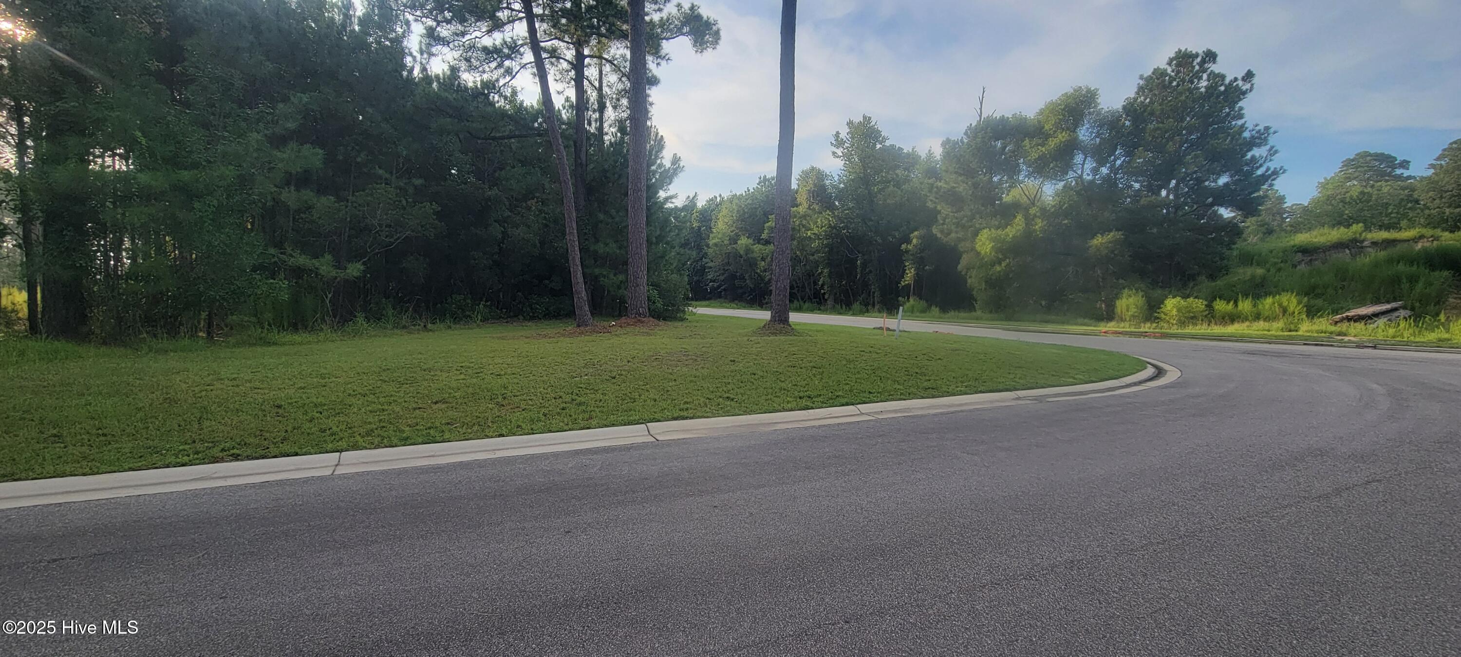Image 2: Corner lot