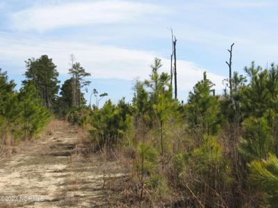 4161 Caratoke Highway