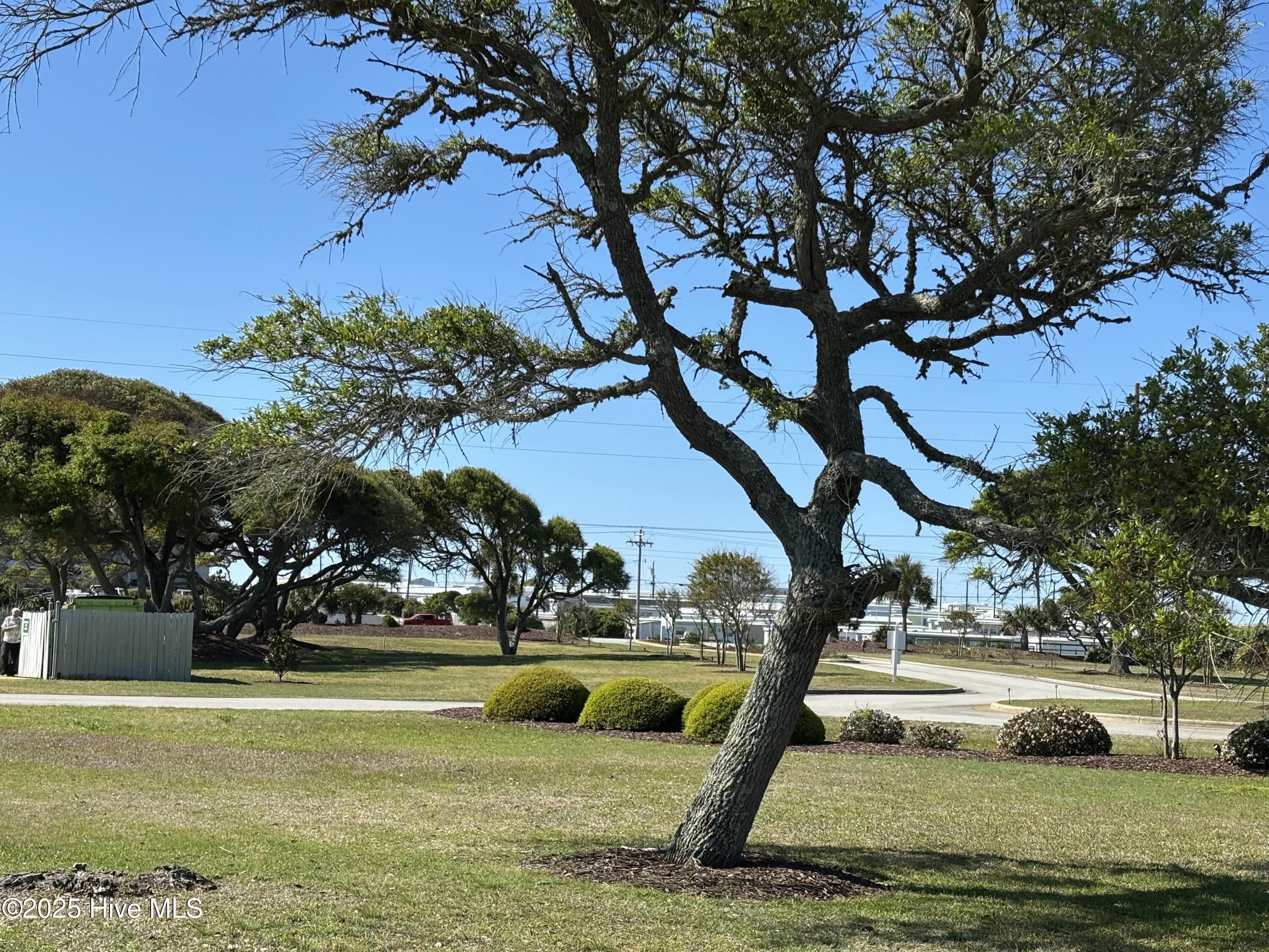 Image 4: tempImageOw6vL0