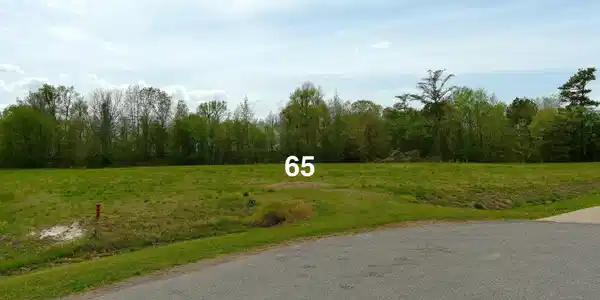 65 Pelican Court