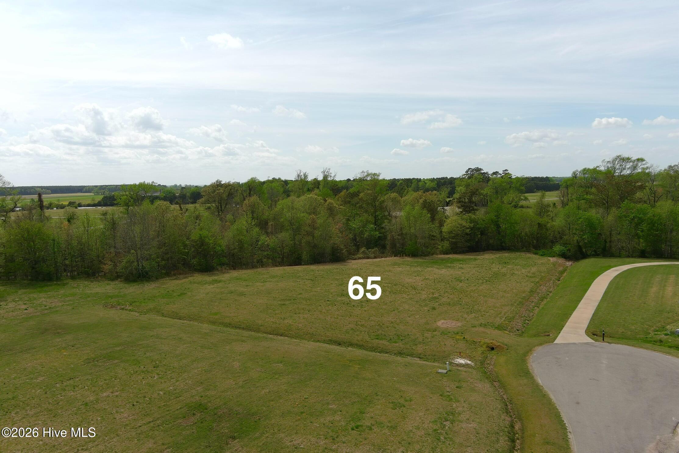 Image 4: 1C095298C859F084E2354D2D2CA92EC517438921