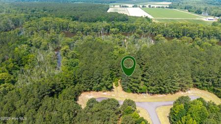 220 Colleton Court