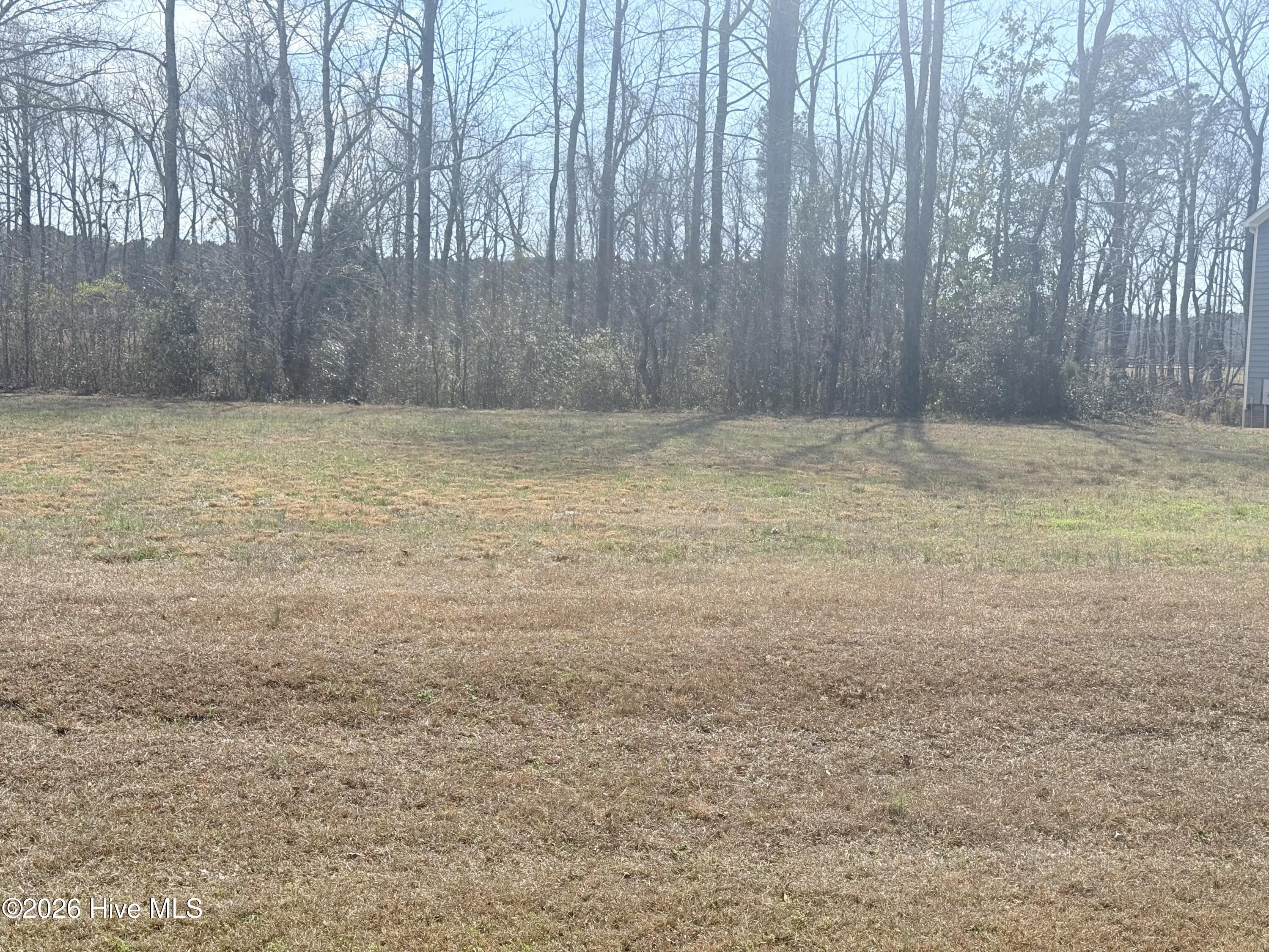 Image 3: Lot 38