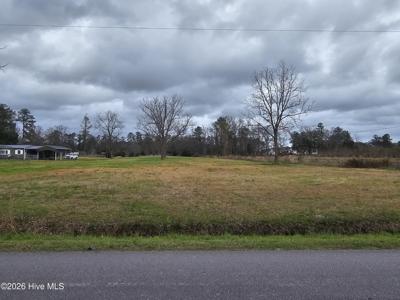 251 Alligator Loop Road