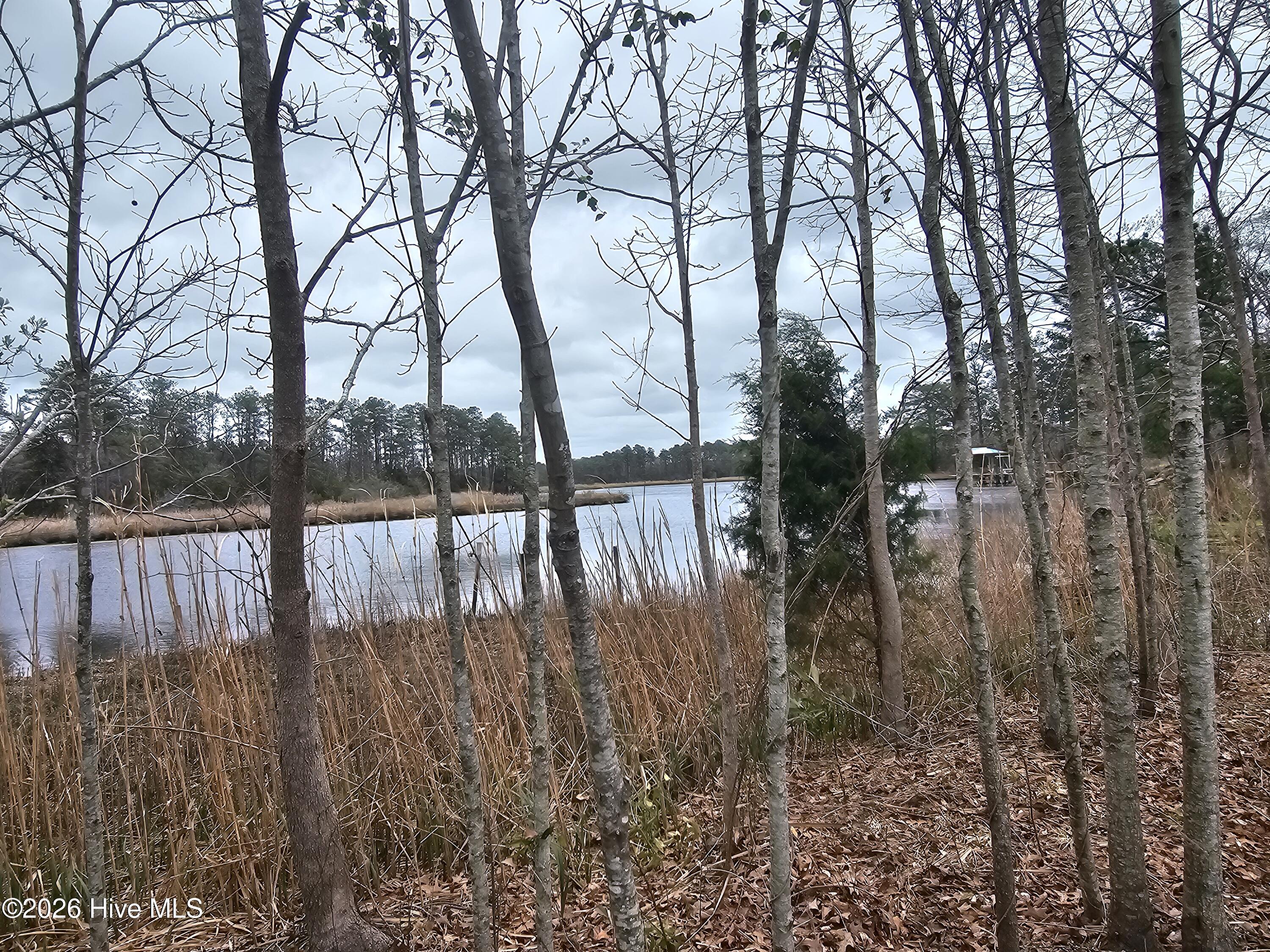 Image 3: 251 ALLIGATOR LOOP 4 RIGHT WATER VIEW