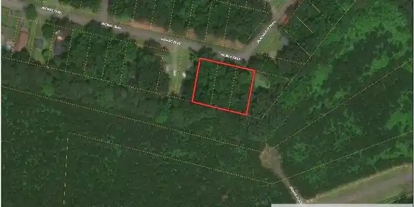 Image 2: Wilson.MicMac Ariel
