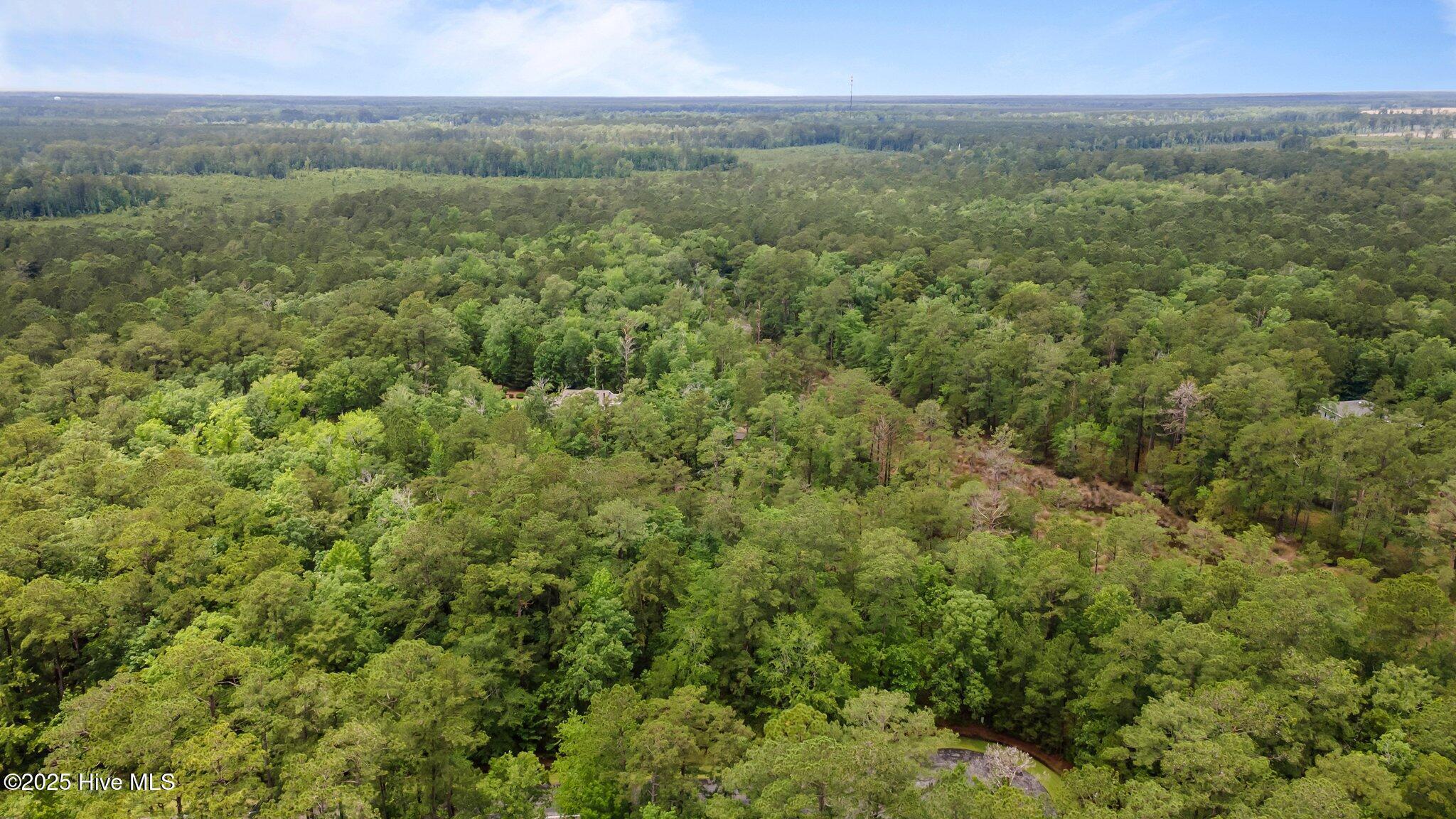 Image 2: 3-web-or-mls-DJI_0045