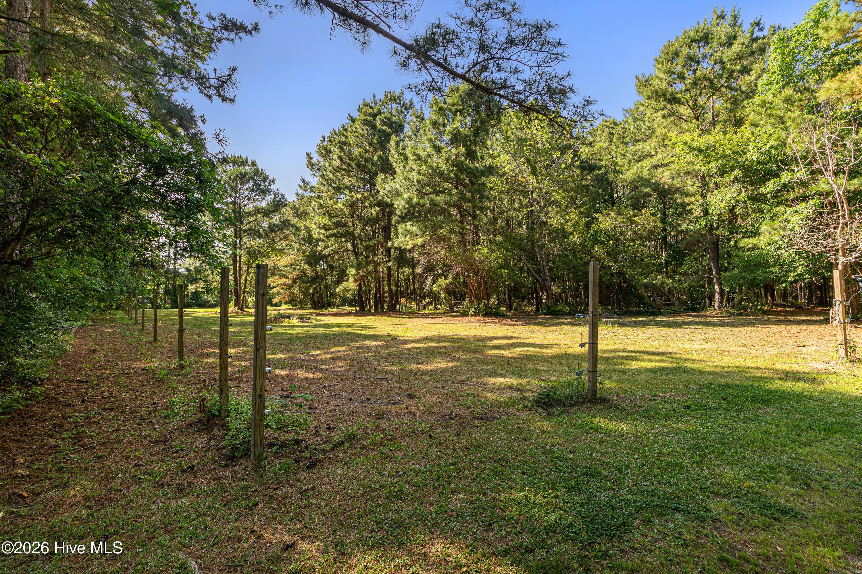 Image 2: Fenced-in pasture area