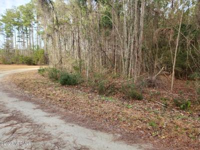 208 Morris Creek Lane