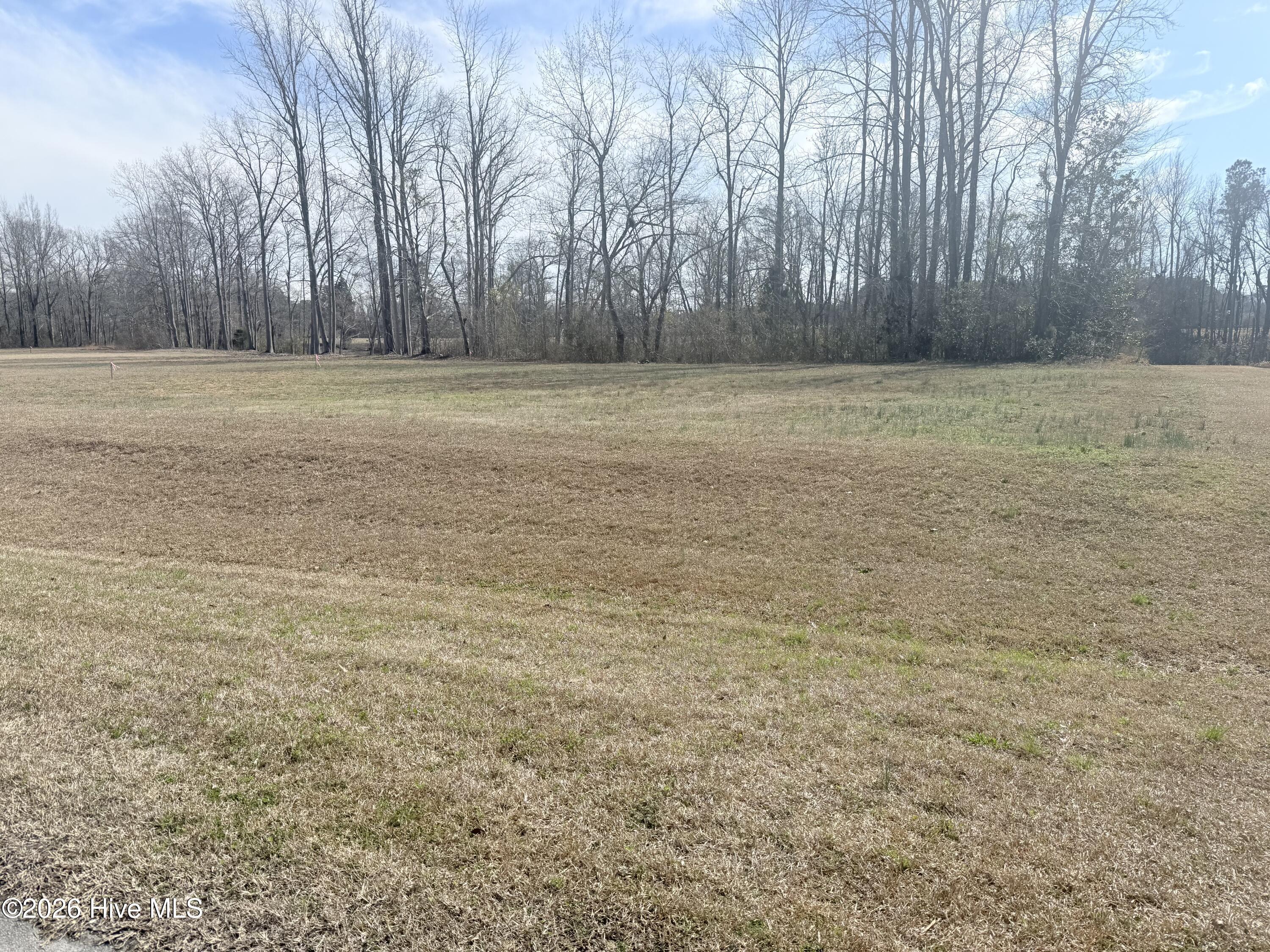 Image 3: Lot 41
