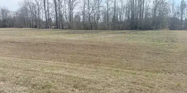 Image 3: Lot 41