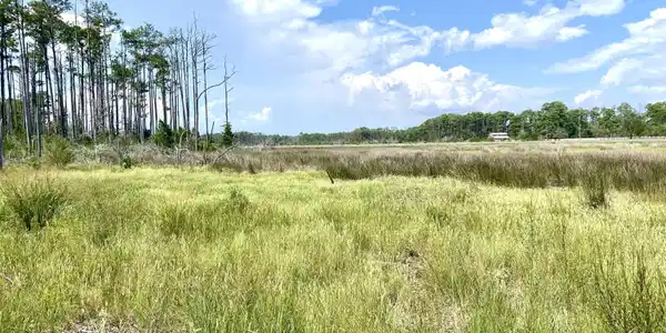 Image 2: Serene setting