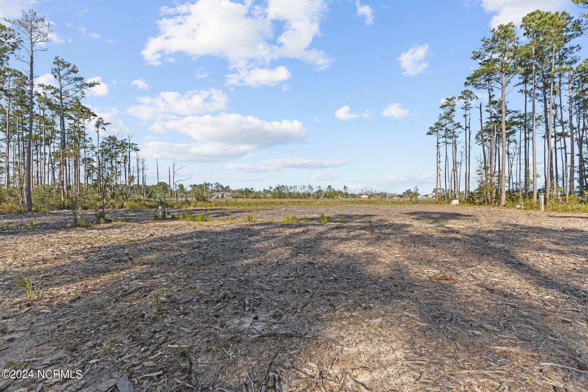Image 3: Cleared acreage