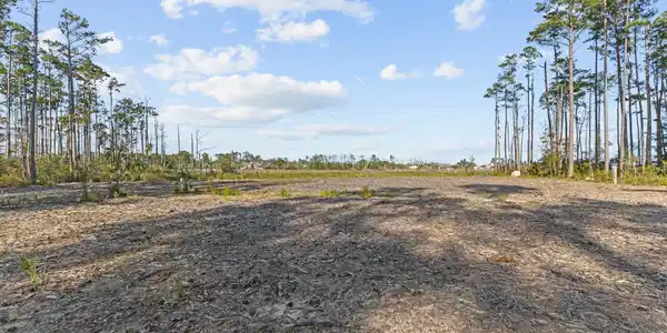 Image 3: Cleared acreage