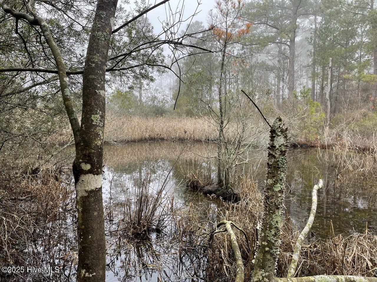 Image 3: IMG_4144 Large