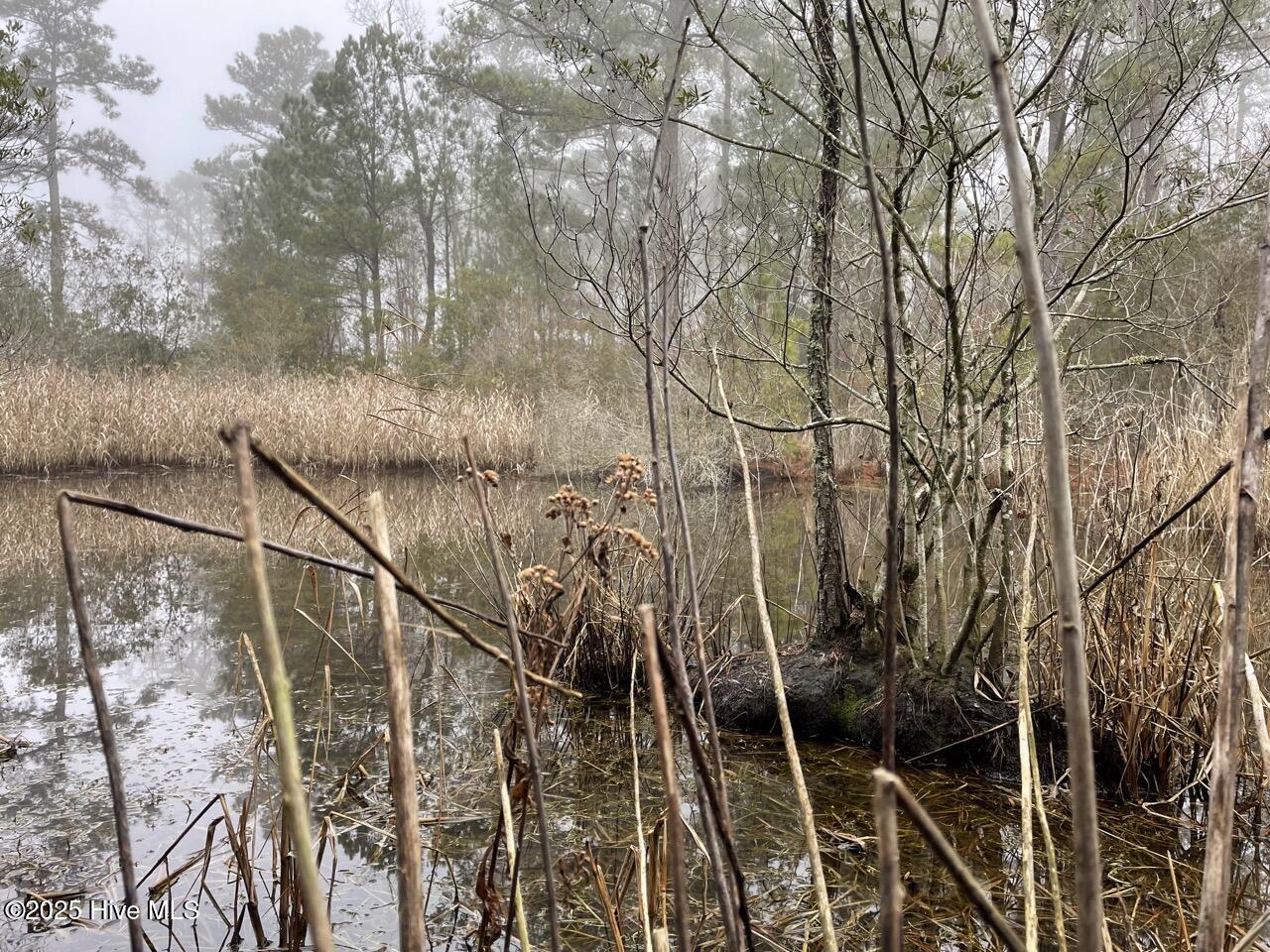 Image 4: IMG_4150 Large