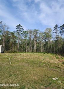 3008 Verdant Ridge Ridge