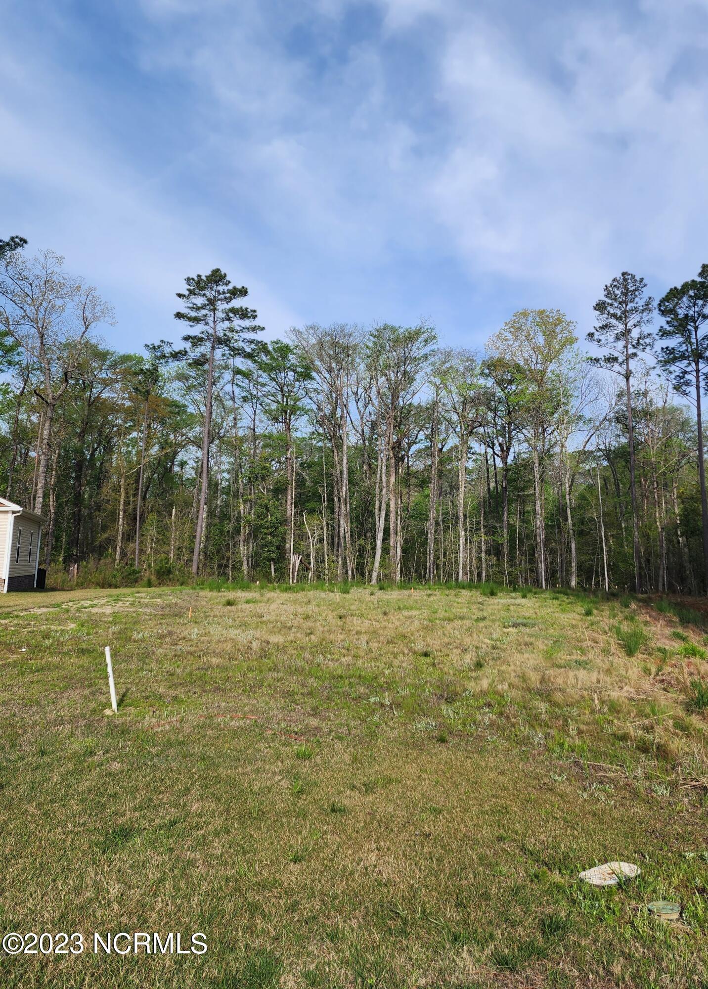 Image 1: 3008 Verdant Ridge 1