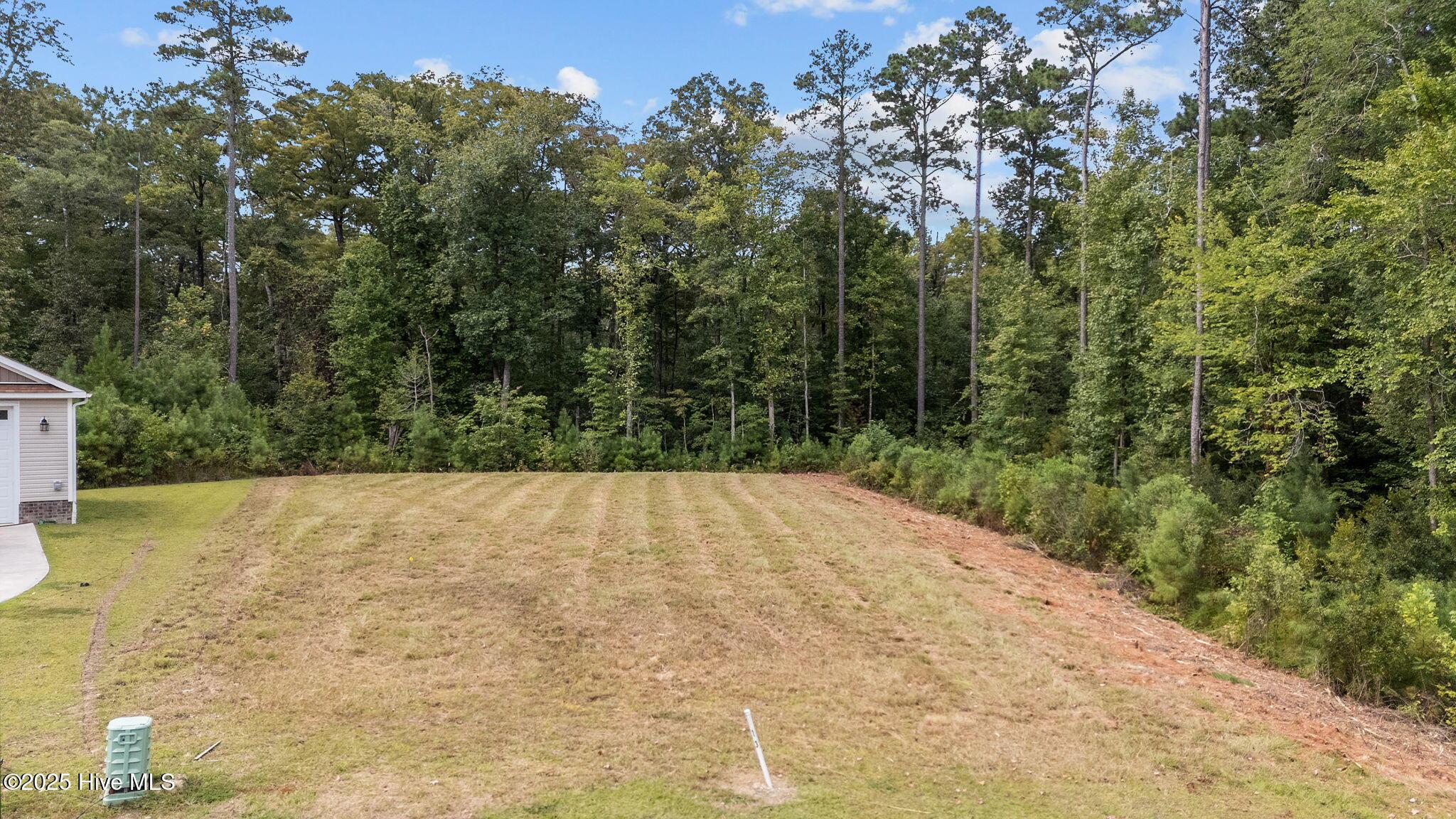 Image 2: Cleared property