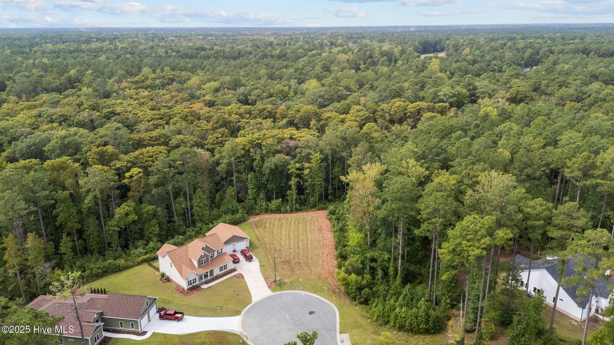 Image 4: Aerial