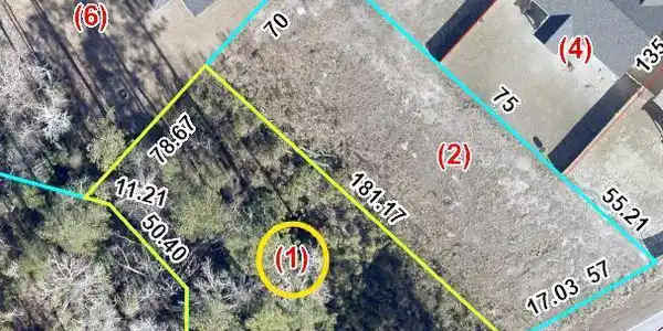 391 Stately Pines Road
