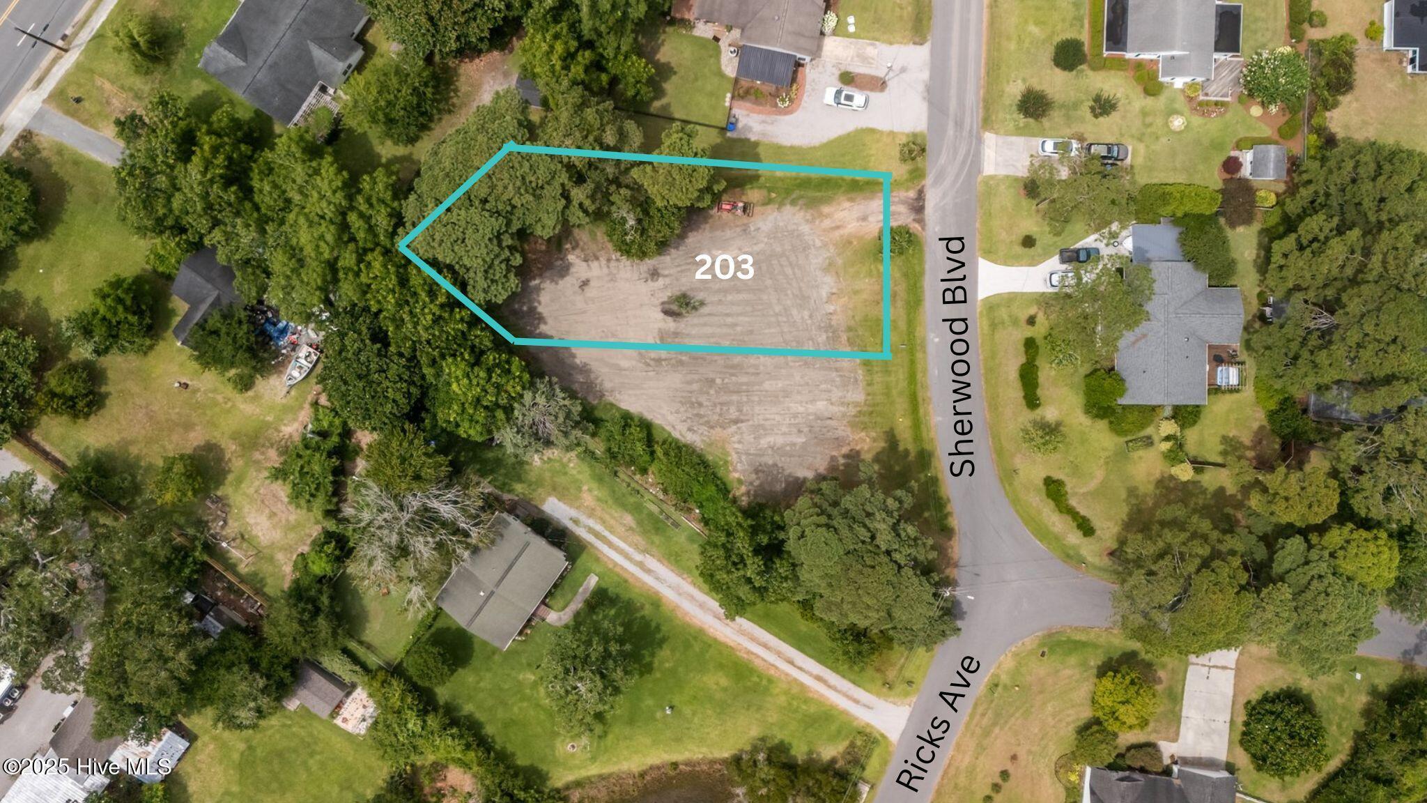 Image 2: 203 Sherwood Blvd