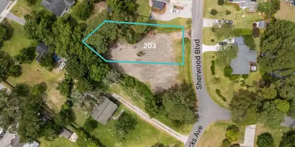Image 2: 203 Sherwood Blvd