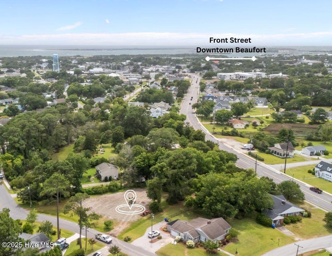 Image 3: 203 Sherwood Blvd