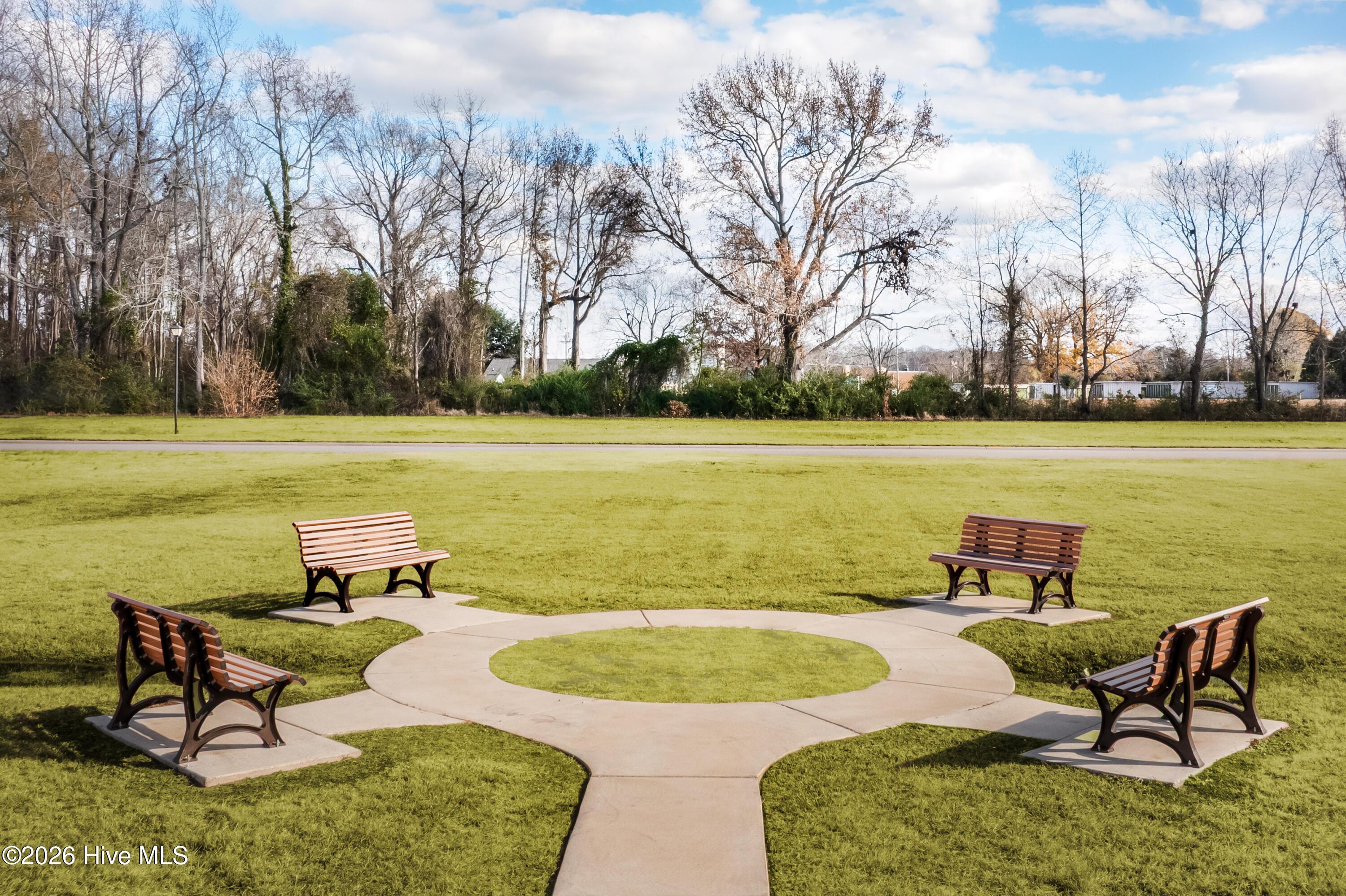Image 2: MPO-686 RHR Colonial Village Edenton NC-