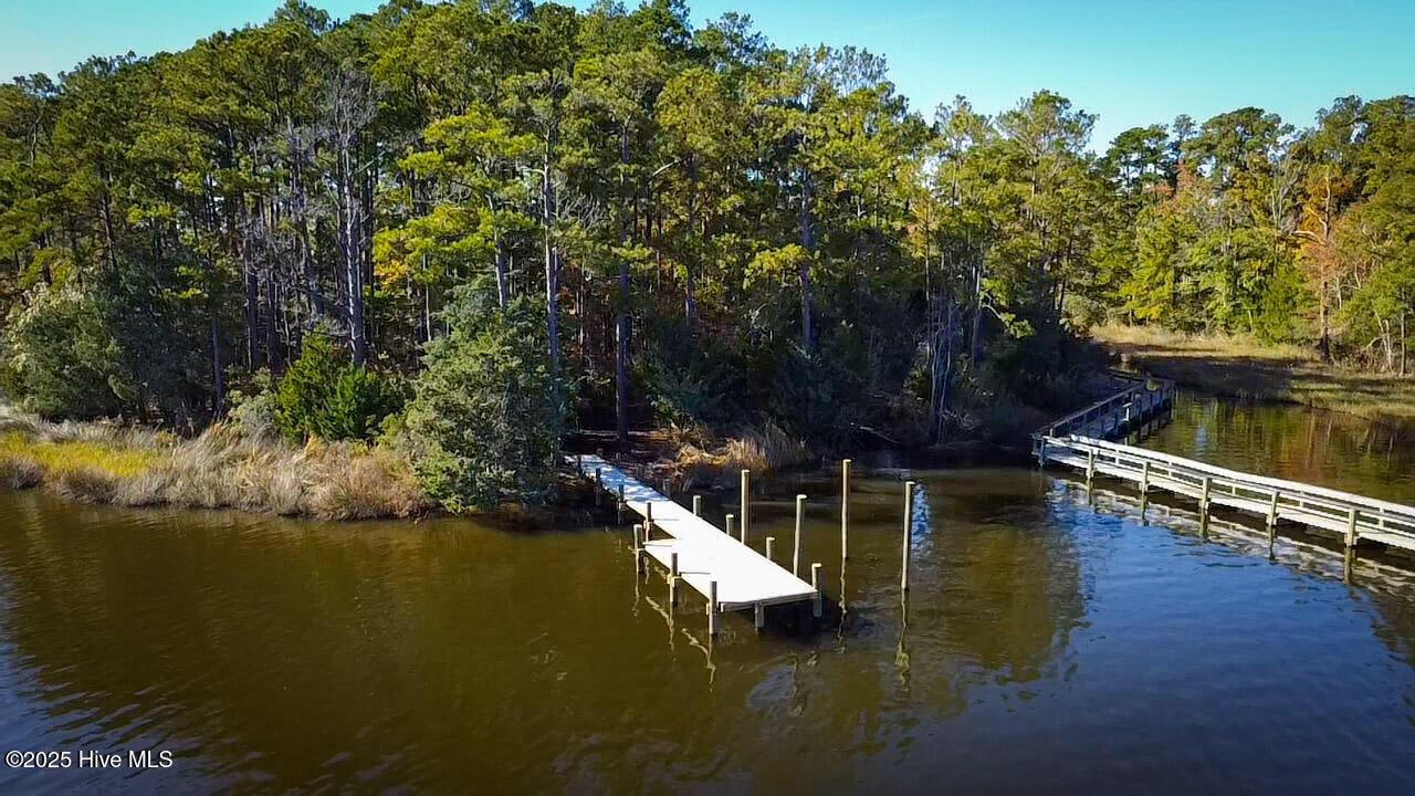 Image 1: 177 Carolina Way, Arapahoe, NC