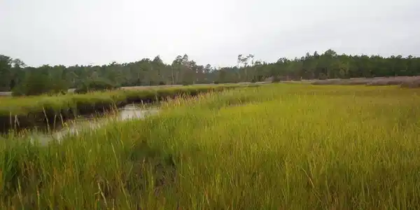 Image 3: North River