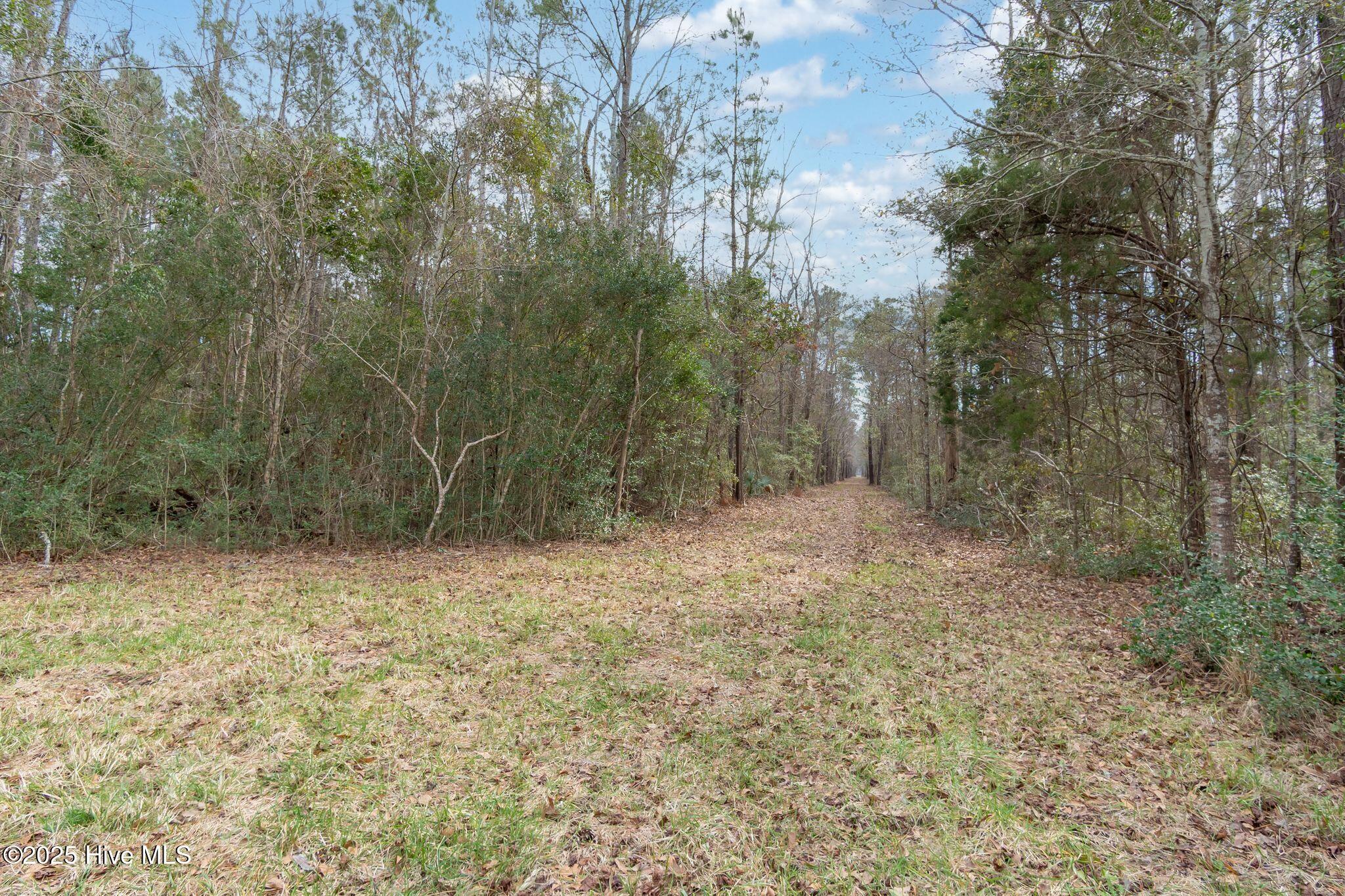 Image 1: Florence Rd-20