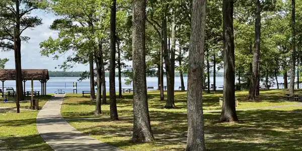 Image 2: River side park