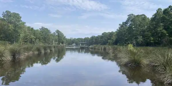 Image 2: 16
