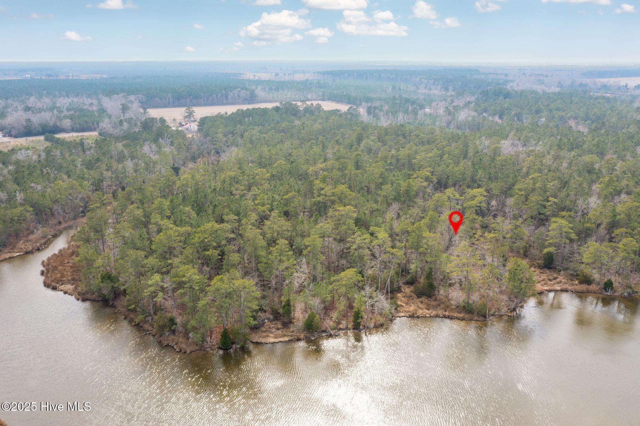 Image 2: Florence Rd-5