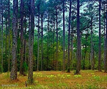 103 Cassie May Boulevard