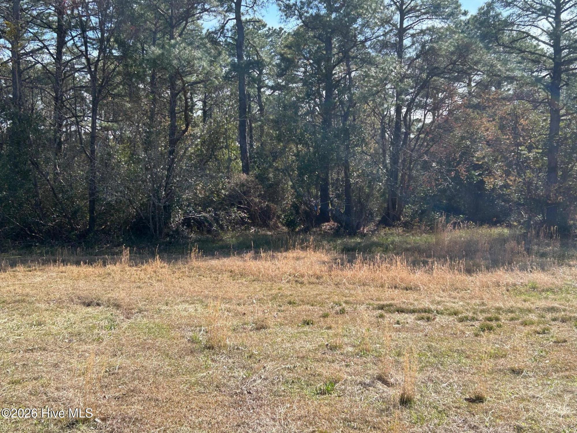 Image 3: IMG_8627