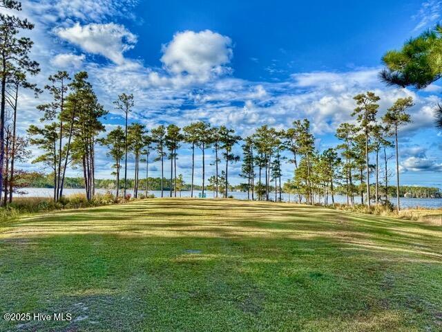 Image 3: Walking to the Water