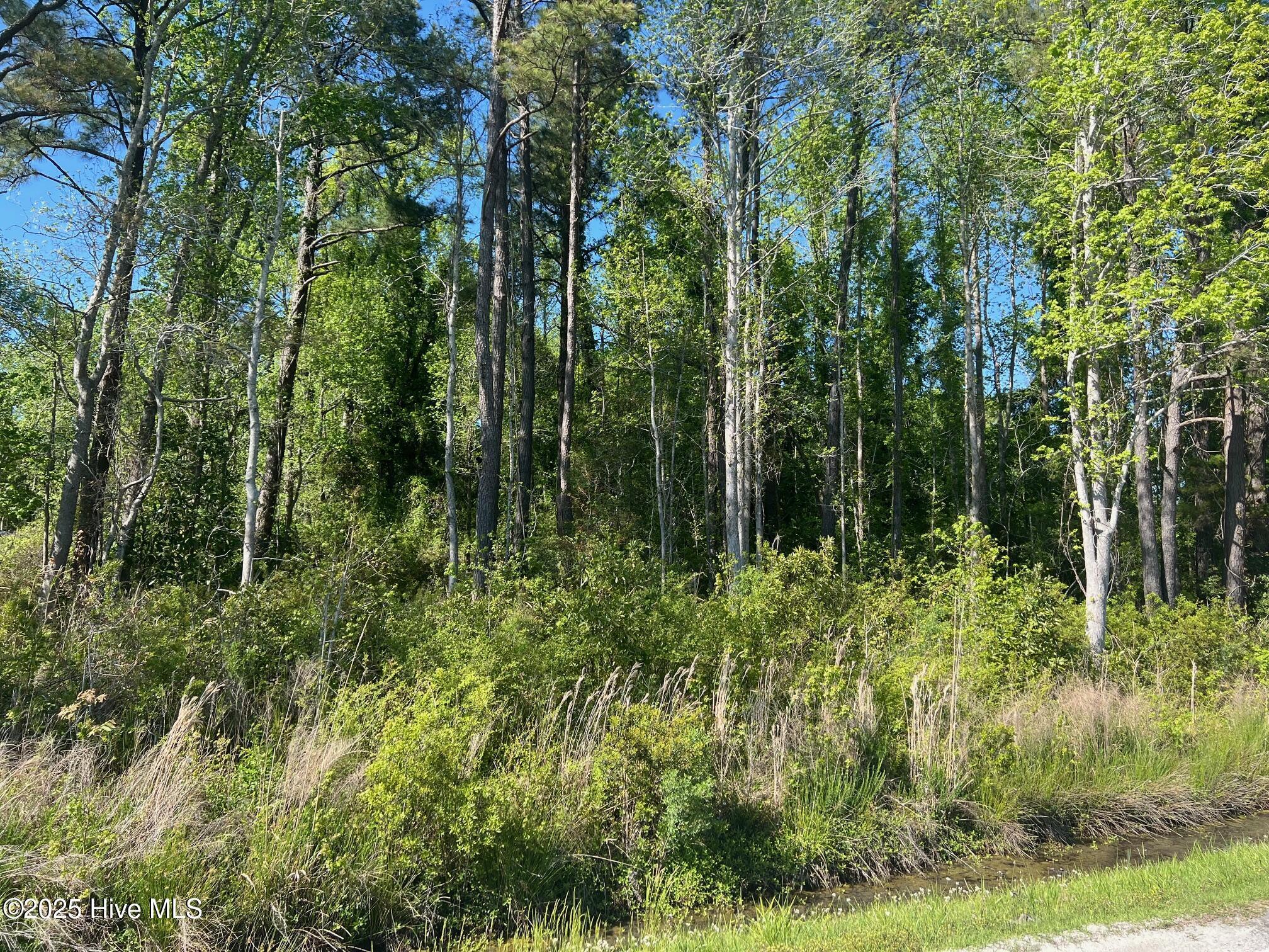 Image 2: IMG_3090