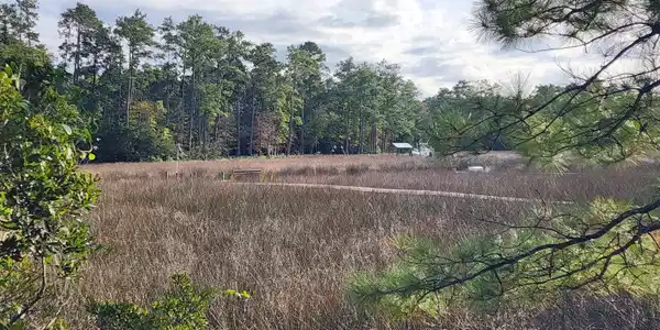 Image 3: 20251009_162826