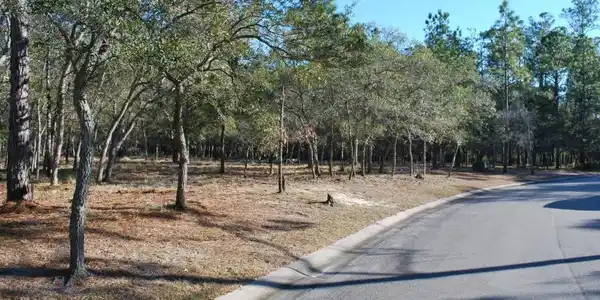 Image 2: 4