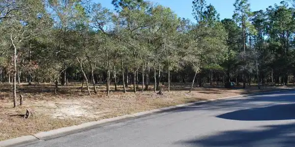 Image 4: 2