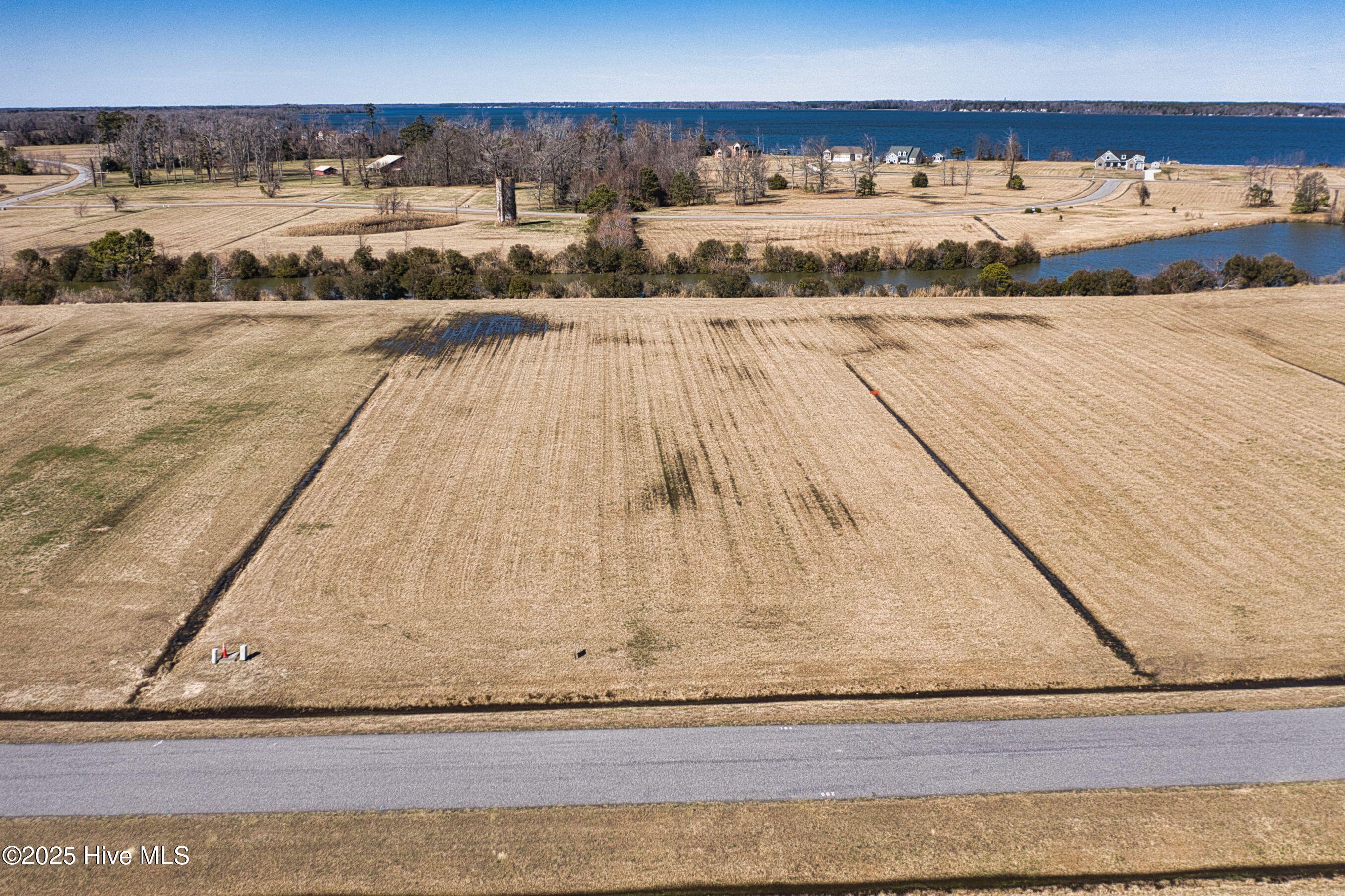 Image 4: lot104-1