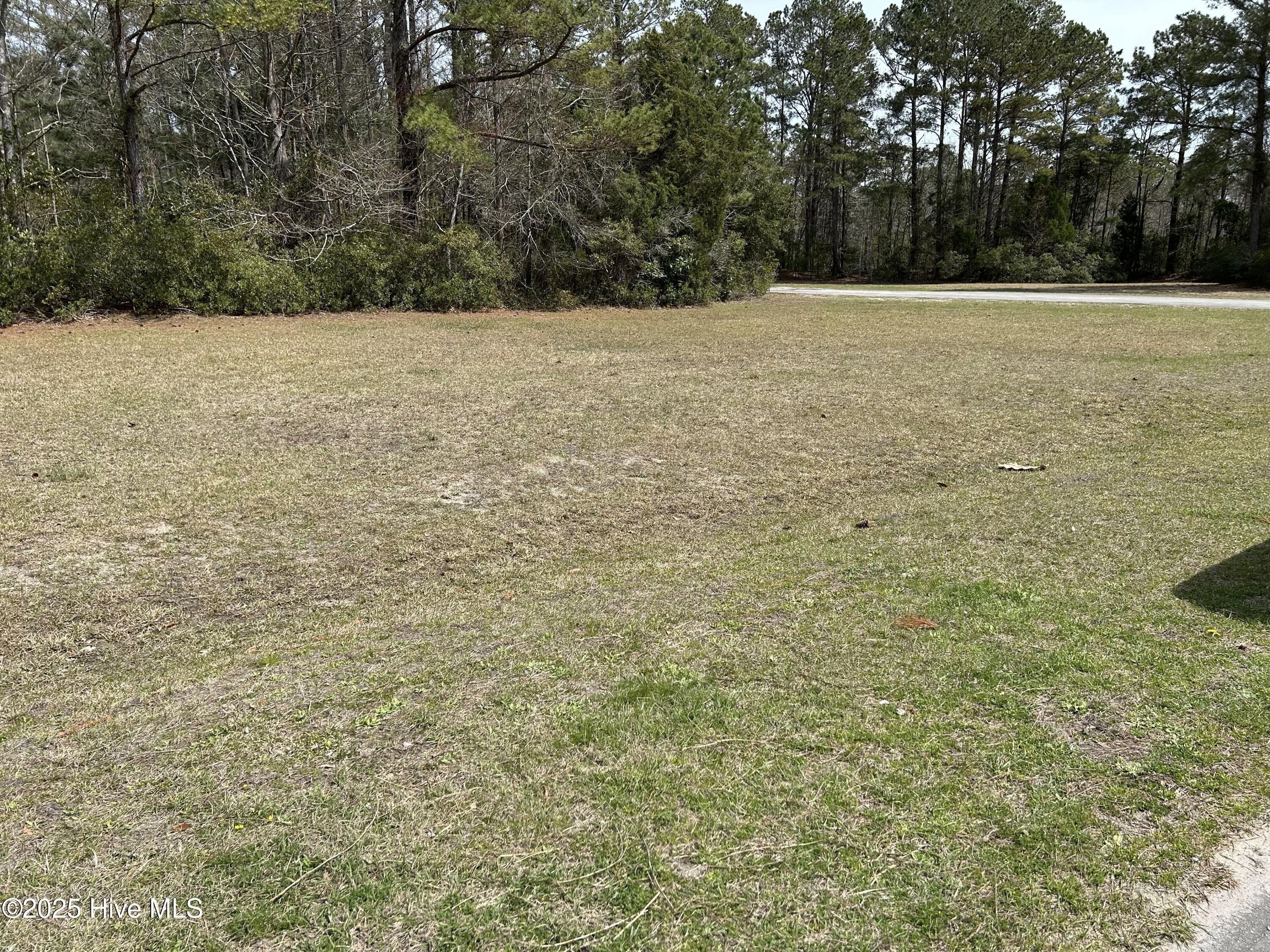Image 2: 2