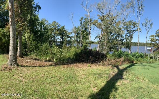 Image 2: Lot 149R View of Salmon Creek