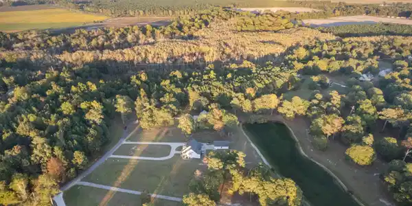 Image 3: DJI_0781