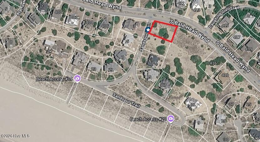 Image 2: 2 Sandspur 3