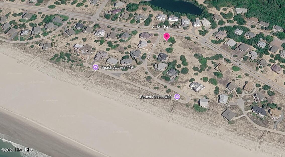 Image 3: 2 Sandspur 1